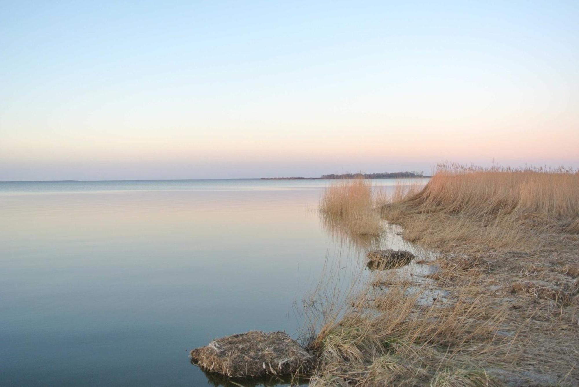 Fischlandinsicht Appartement Ribnitz-Damgarten Buitenkant foto